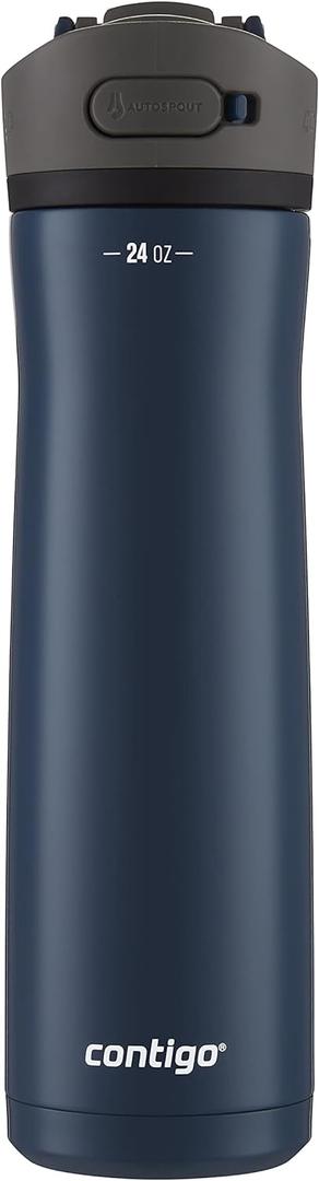 Contigo Ashland Chill 24oz Stainless Steel Water Bottle with Leakproof Lid & Straw Smart Temperature Technology Keeps Beverages Hot and Cold Ideal for Travel Work School - Silver Finish (24oz (Pack of 1), Blueberry)