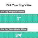 Taglory Dog Leash for Medium Large Dogs, Double-Sided Reflective Leash with Soft Neoprene Padded Handle, 1 inch by 6 ft, Fit Medium Large Breeds 20-150 lbs, Turquoise