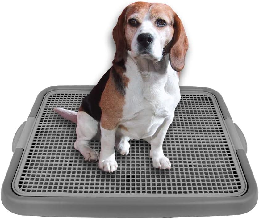 Mesh Training Toilet Potty Tray for Puppy and Small Size Dog 20.3 x 16.3 x 1.2 inch (Gray+Gray)