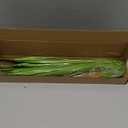 10PCS Fake Grass Filler Decor Artificial Grass Plants Outdoor Faux Plants Artificial Tall Shrubs Wheat Grass Greenery Stems UV Resistant Onion Grss For Outdoor Indoor Vase Planters Home Decor, Green