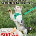 Cat Harness and Leash for Walking Escape Proof Soft Adjustable Cat Leash Breathable Comfortable Vest Easy to Wear Kitten Harness for Outdoor Travel (Emerald, M (13-18lb))