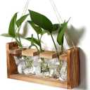 Butterfly Vase Propagation Stations: Glass Plant Terrarium with Wooden Stand for Home Office Desk Decor, Unique Gifts for Plant Lovers Women Mom 3 Pcs
