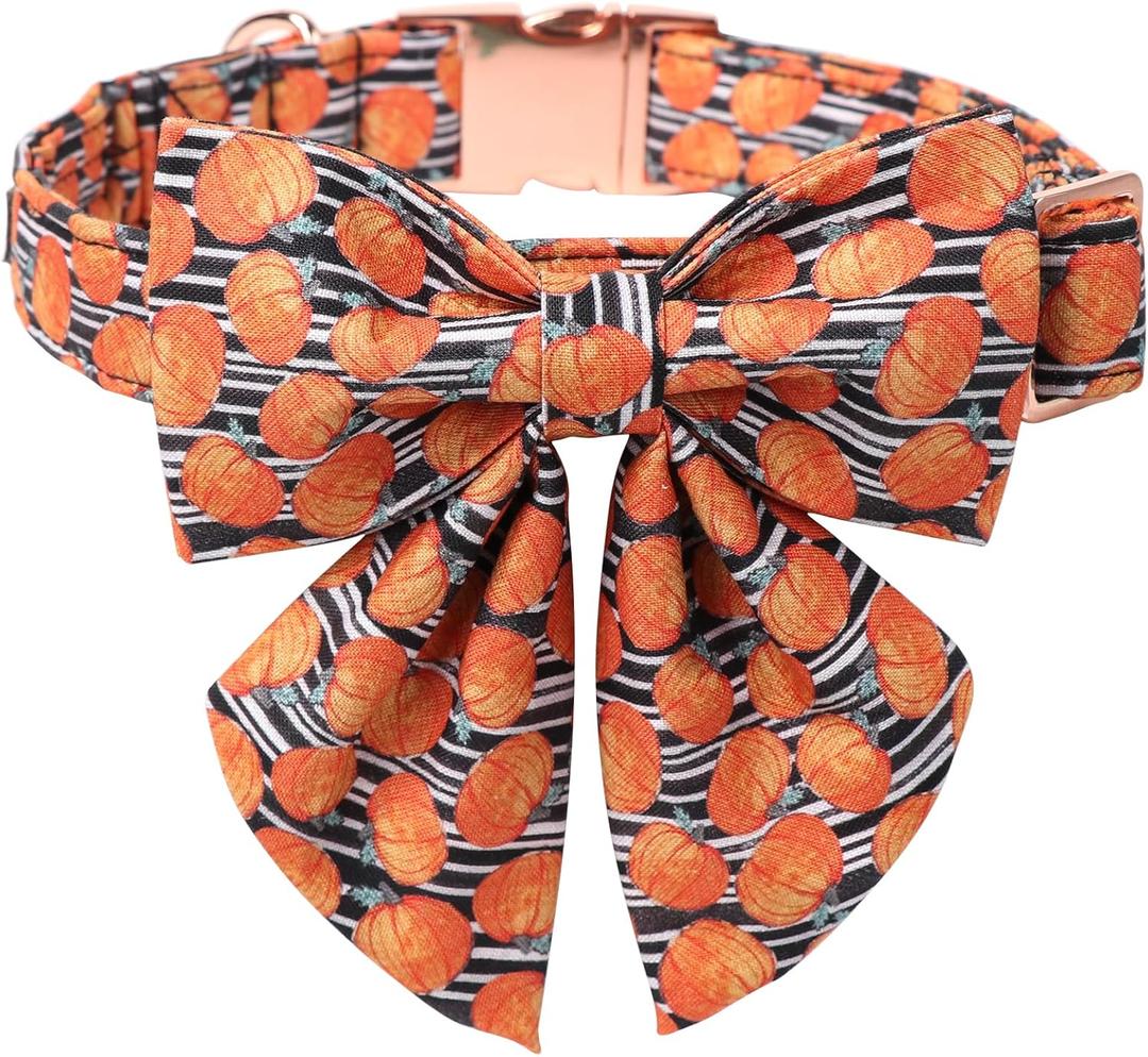 Maca Bates Halloween Pumpkin Dog Collar with Bow Bowtie for Dogs Sailor Bow Tie Adjustable Breakaway Cute Collars Accessories Fall Gift for Small Medium Large XL Puppy with Golden Metal Buckle