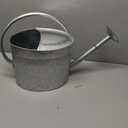 Galvanized Iron Watering Can for Indoor Plants, Oval Watering Cans for House Plant Garden Flower, Long Spout Water Can for Outdoor Watering Plants 9.46L 2.5 Gallon