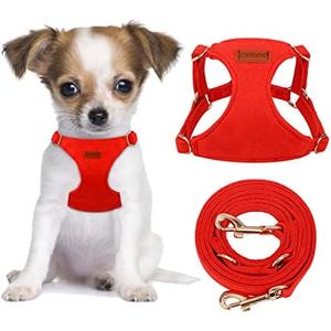 CHEDE No Pull Puppy Harness and Multifunction Dog Leash Set - Soft Adjustable No Choke Escape Proof Cute, Lightweight Pet Vest Harness for Small Dog (XS, Red)
