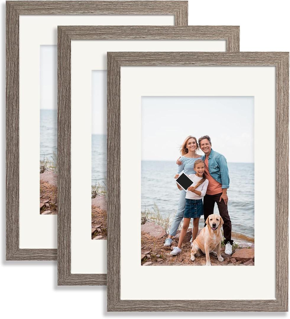 12x16 Picture Frame 3 Pack Gray Color - Poster Frame Set of 3 - Display Picture 8.5x11 with Mat or 12x16 Without Mat, Wall Gallery Photo Frames