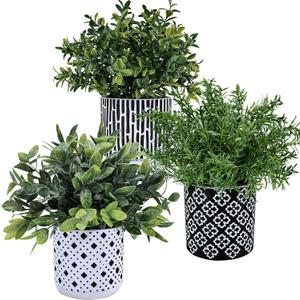 Winlyn 3-Pack Artificial Potted Plants - Faux Eucalyptus, Rosemary, Boxwood Greenery in Small Black & White Geometric Concrete Pots -Desk, Table, Shelf, Windowsill Decor for Indoor Outdoor Home Office
