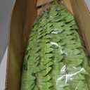 FOREST PRINCE 50" Artificial Boston Ferns, Fake Bush Plants, Large Faux Ferns with 96 Fronds for Outdoors Home Decor