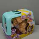 Little Live Pets Ouchies Hazel The Poodle Plush, 50+ Sounds, Limping to Walking Puppy Toy & Carrier, Interactive Toy Dog for Kids 5+