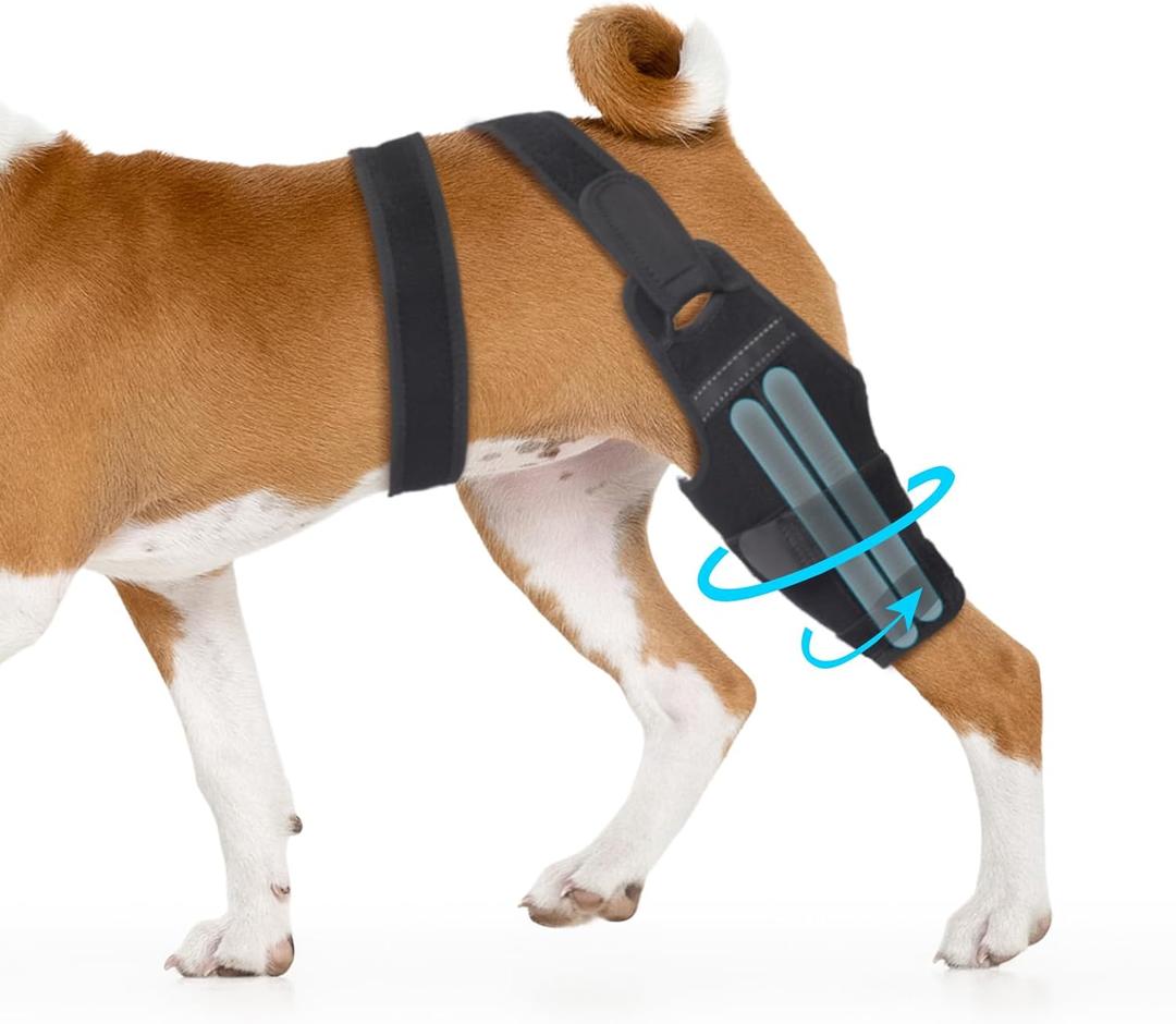 Dog Knee Brace, Torn ACL Hind Leg Support, Rear Stability for CCL Injury Recovery & Hip Dysplasia, Adjustable Joint Wrap for Small Medium Large Pets(Left, S)