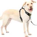 PetSafe Easy Walk Comfort No-Pull Dog Harness Full-Body Padding - Better Walks on The First Use - 5 Points of Adjustment Large, Black