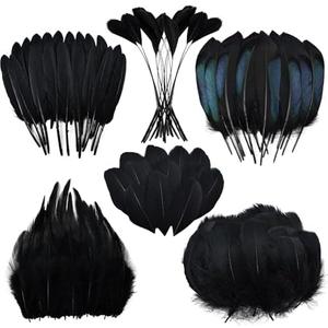 Black Craft Feathers Bulk - 180pcs 6 Style Mixed Natural Feathers for Wedding,DIY Crafts (Black)