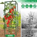 3 Pack Square Tomato Cages, 49'' Tall Heavy Duty Steel Tomato Trellis Kit for Garden, Plant Support Tower Stakes Cucumber Pepper Trellis for Climbing Vegetable Flowers