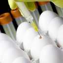 25G 5/8 In - 50 Pack 1ml/1cc Industrial Scientific Lab Utensils, Individual Package