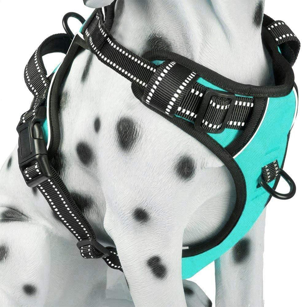 PoyPet No Pull Dog Harness, Reflective Comfortable Vest Harness with Front & Back 2 Leash Attachments and Easy Control Handle Adjustable Soft Padded Pet Vest for Medium  Dogs (Mint Blue,M)