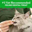 Greenies Feline Veterinarian-Recommended Adult Natural Dental Cat Treats, Savory Salmon Flavor, 21 oz. Tub (1.31 Pound (Pack of 1))