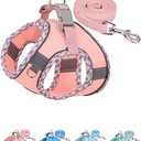 Petank Dog Harness for Small Medium Dogs No Pull, Puppy Harness and Leash Set, Step in Dog Harness for Walking, Running, Training, Small Dog Vest (Pink, XXS)