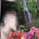 Posterazzi Hawaii Maui Wailua Waterfall And Rainforest Bougainvillea In Foreground B1605 Poster Print, (24 x 38)