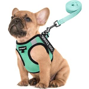 FAYOGOO Service Dog Vest Set for Small Dogs, Mesh Harness and Leash