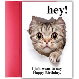 Funny Cat Birthday Card for Men Women, Naughty Birthday Card Gift for Cat Lover Friend Sister Brother Cousin Coworker