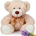 Hungdao 9 Inch Bear Microwavable Stuffed Animal Lavender Scented Stuffed Animal Plush Bear Microwavable Lavender Microwave Heatable Plush Toy for Stress Relief Birthday Gift