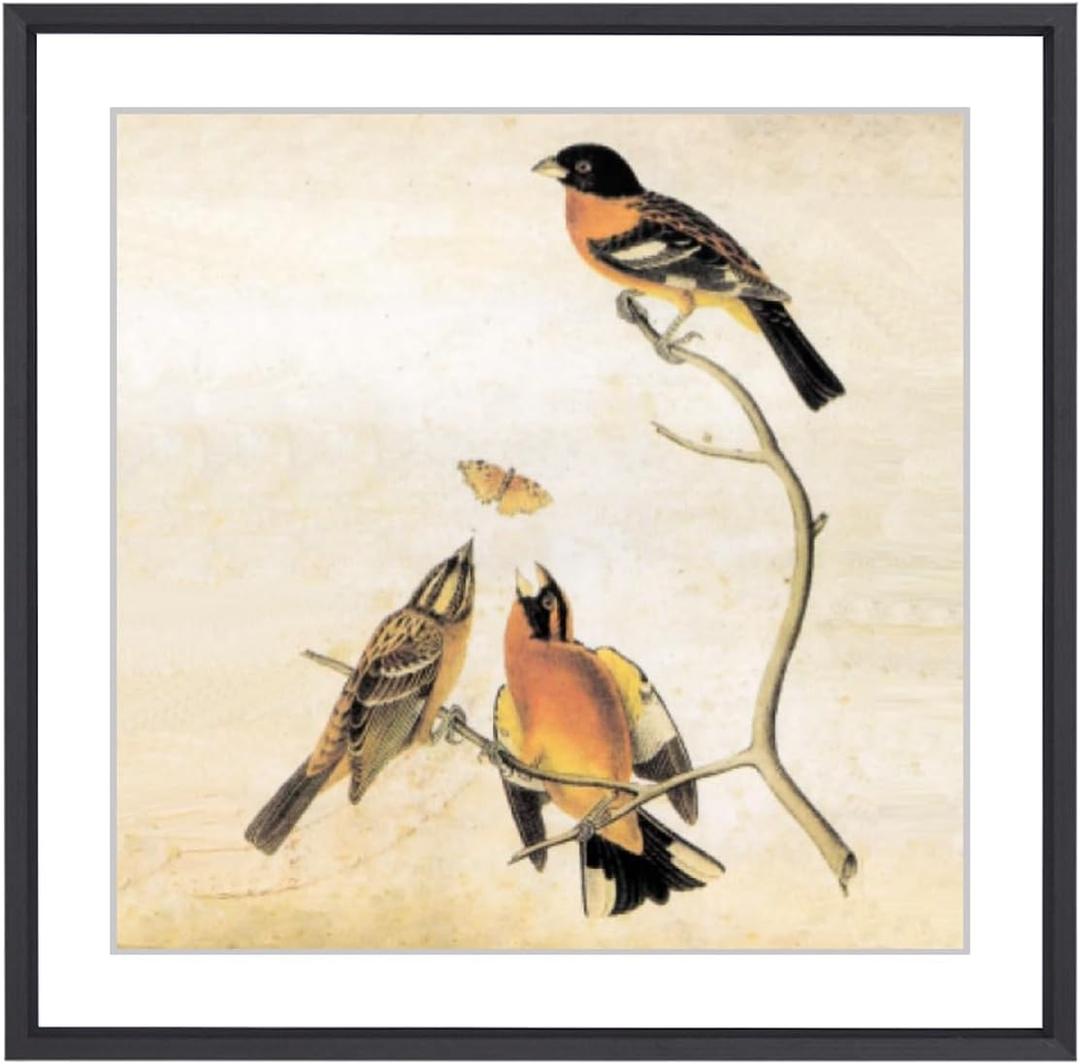 9x9 Picture Frame, Black Metal Square Photo Frames with HD Glass, Fits 8x8 with Mat or 9 x 9 without Mat, Display for Wall and Table, 1 Pack