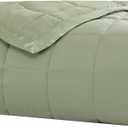 Beatrice Home Fashions Down Alternative Solid Color Blanket, Full/Queen, Sage