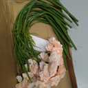 Light Pink Carnations Fake Flowers 15PCS Silk Carnations Artificial Flowers 20.47" Long Stems Faux Flowers Bulk for Wedding Bridal Bouquets, DIY Crafts, Home Party Garden Decor(Light Pink)