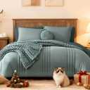 Monbix Queen Comforter Set - 7 Pieces Sage Green Bed in a Bag Queen Bedding Sets with Comforters, All Seasons Comforter Bed Set with Sheets,Pillowcases & Shams