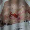 Preserved Flowers Bouquet, Valentines Rose Flowers with Gift Box Long Lasting 3-5 Years Flower Bouquet Forever Real Flower Rose with Gift Box for Valentines,Mothers Day,Anniversary,Birthday (Peach Pink)