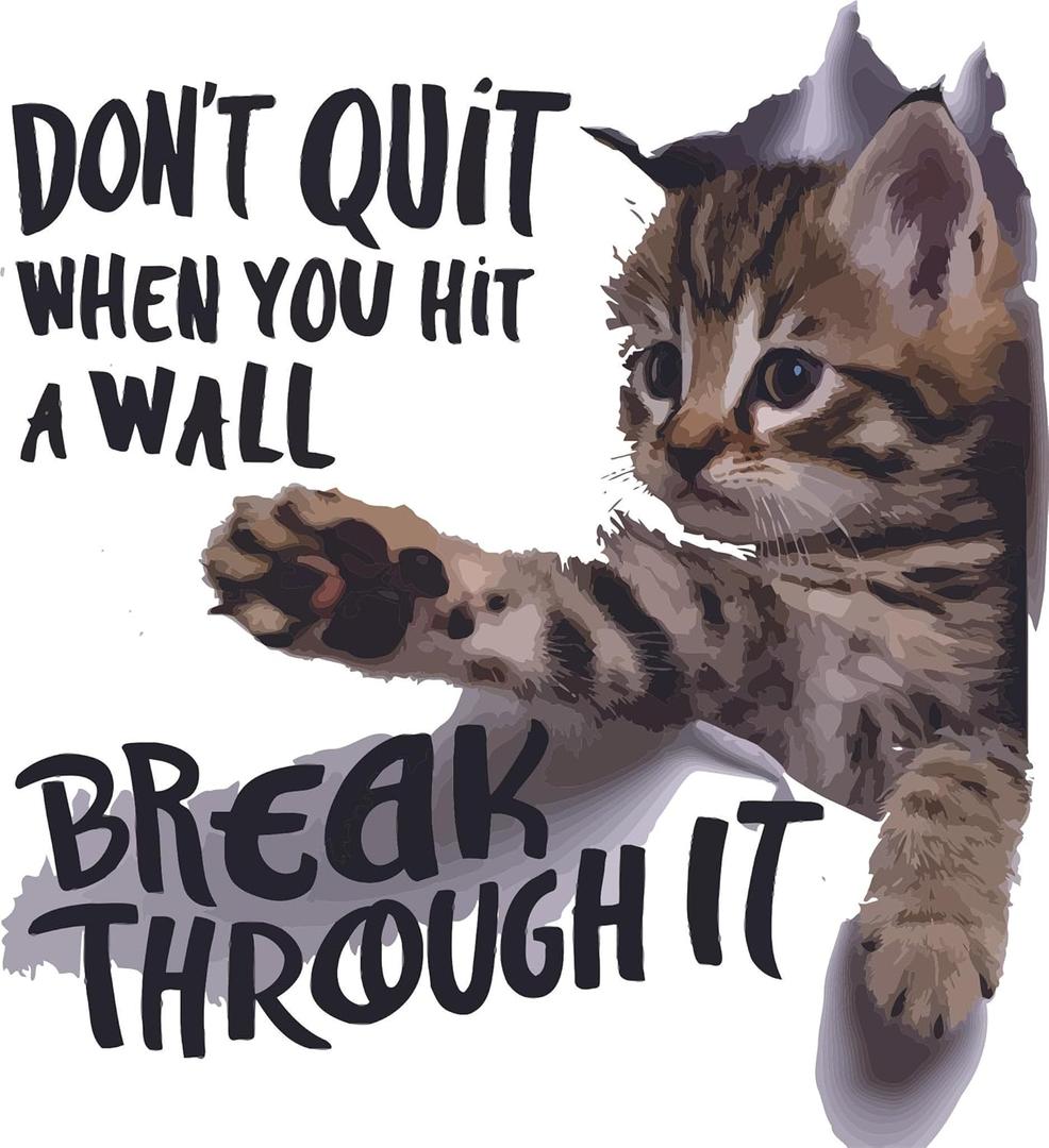 Don't Quit When You Hit A Wall Break Through It Cute Cat Lover Wall Decal Wall Dcor Vinyl Sticker Size: 26 x 26