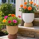 DREAMLOOM 6.4Inch Coarse-Grained Terracotta Pots for Succulents, 2Pcs Flower Planters with Drainage Holes, Bonsai, Cactus Aloe, Herbs, Orchid, Rustic Color