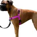 ShawnCo Dream Walk No-Pull Dog Harness- Adjustable, Comfortable, Easy to Use Pet Halter to Help Stop Pulling for Small, Medium and Large Dogs (Orchid, M)