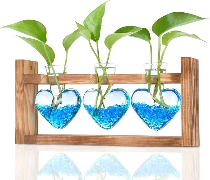 2+1 Plant Terrarium Plant Propagation Station Gifts for Father Halloween Skull Home Office Decor with Wooden Stand