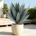 Artificial Agave Plant,23in Faux Plants Outdoor Decor,UV Resistant Large Potted Greenery,Realistic Plastic Succulents Perfect for Front Porch, Patio, Indoor Outdoor Home, Office Decor