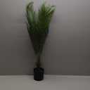 Artificial Palm Tree 4ft - Faux Tree Nearly Natural Indoor Outdoor, UV-Resistant Tall Artificial Plants, Standing Fake Plant Tree, Large Fakeplant for Home Office Living Room Decor