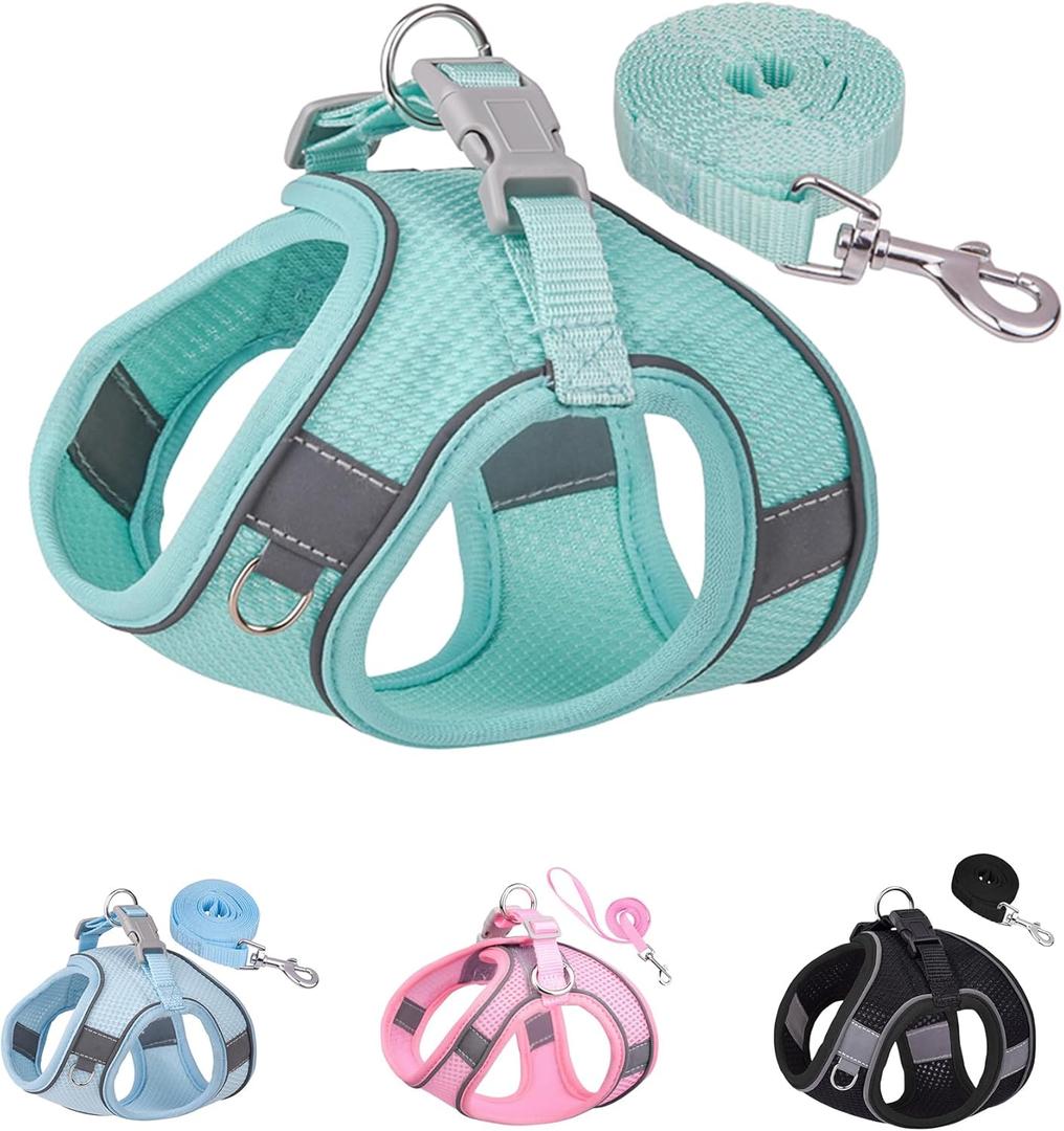 Solmoony Dog Harness for Small Medium Dogs No Pull, Puppy Harness and Leash Set, mesh Dog Harness. (Green, XS)