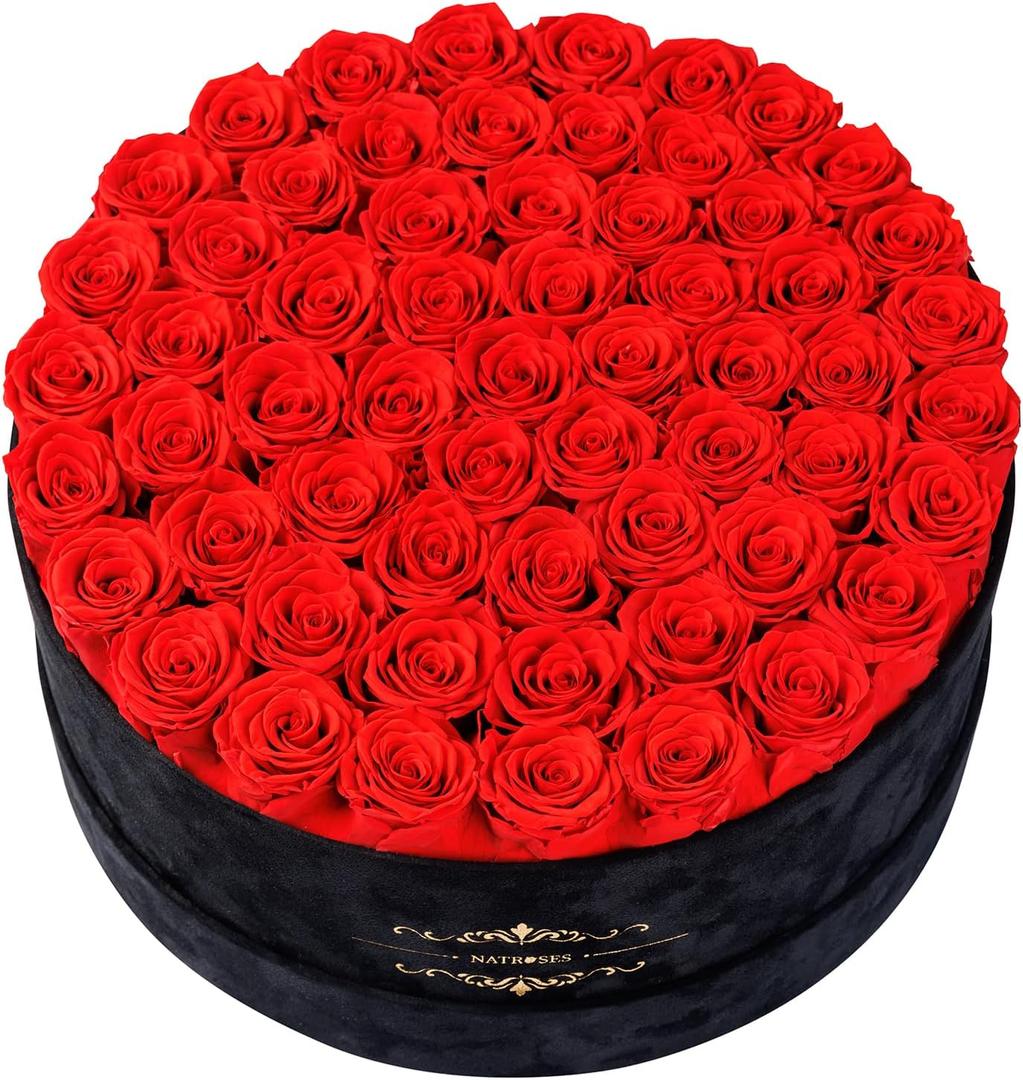 Gifts for Women NATROSES 60 Preserved Roses in Luxury Black Velvet Box, Preserved Flowers for Delivery Gift for Her, Elegant Rose for Birthday, Mothers Day, Christmas (Red)