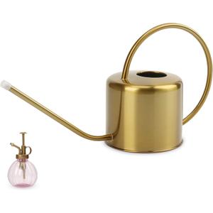 Remiawy Watering Can Indoor Outdoor Stainless Steel Watering Cans for House Plants Long Spout Water Can for Succulent Bonsai Garden Flower(40oz/1300ml)