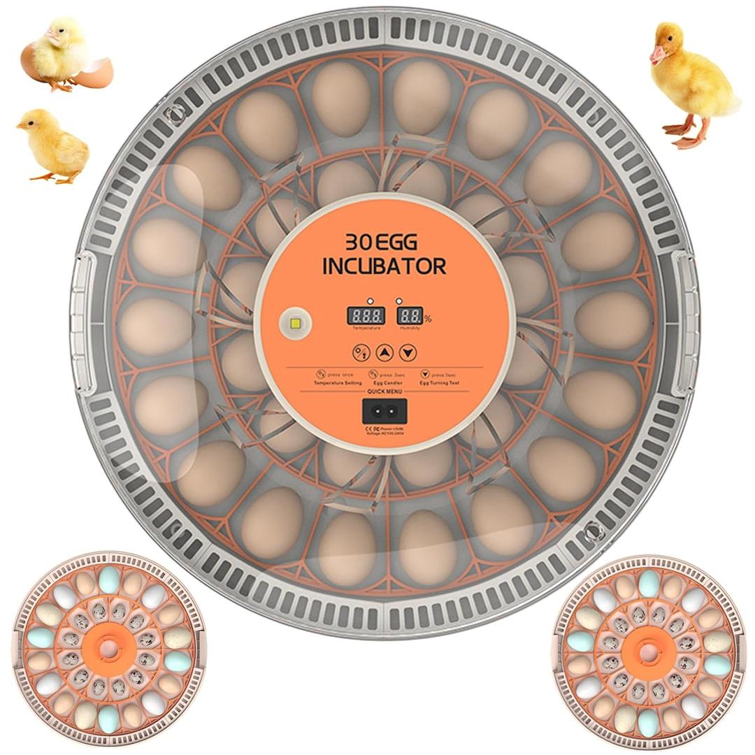 30 Egg Incubators for Hatching Chicken/Quail/Pigeon/Birds Eggs, Incubator with Automatic Egg Turning/Temperature Control/Humidity Display/Egg Candler/360View/Fully Automatic, for Beginner/Farm/Home