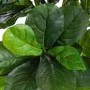 FLOWORLD Fiddle Leaf Fig Tree 6ft Tall Artificial Tree in Plastic Pot Fake Ficus Lyrata Plants with 184 Decorative Fiddle Leaves Faux Fig Trees for Home Office Living Room Decor Indoor Outdoor