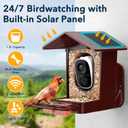 PeckCam Bird Feeder with Camera Solar Powered, AI Identify & Auto Capture, 2K HD Live Video Smart Bird Feeder Camera Instant Notifications in Backyard, Gift Bird Lovers