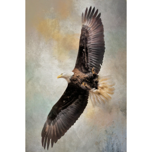 Crystal Art Gallery Hirams Arrival Wall Decor
 24"×18"