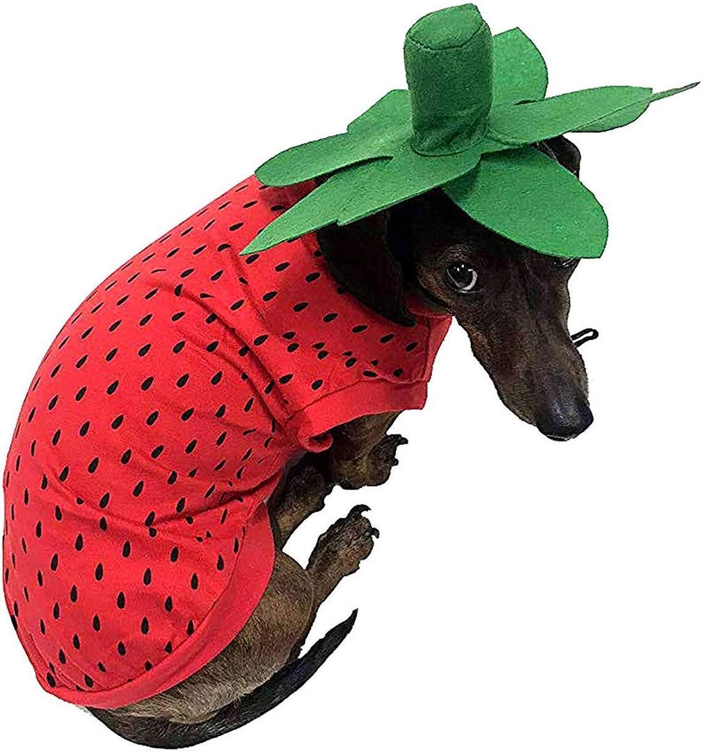 Midlee Strawberry Halloween Dog Costume (X-Large)