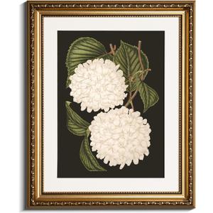 VIYYIEA Gold Framed Wall Art Canvas Print Home Decor White Hydrangea Oil Painting Canvas Prints Room Aesthetic Flower Prints Decoration Bedroom Bathroom Wall Decor Kitchen Office 13x16in (16L" x 13W")