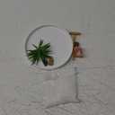 Nature's Mark Mini Zen Garden Kit for Desk with White Sand, Rake, White Base, Salt Rock and Air Plant (Round)