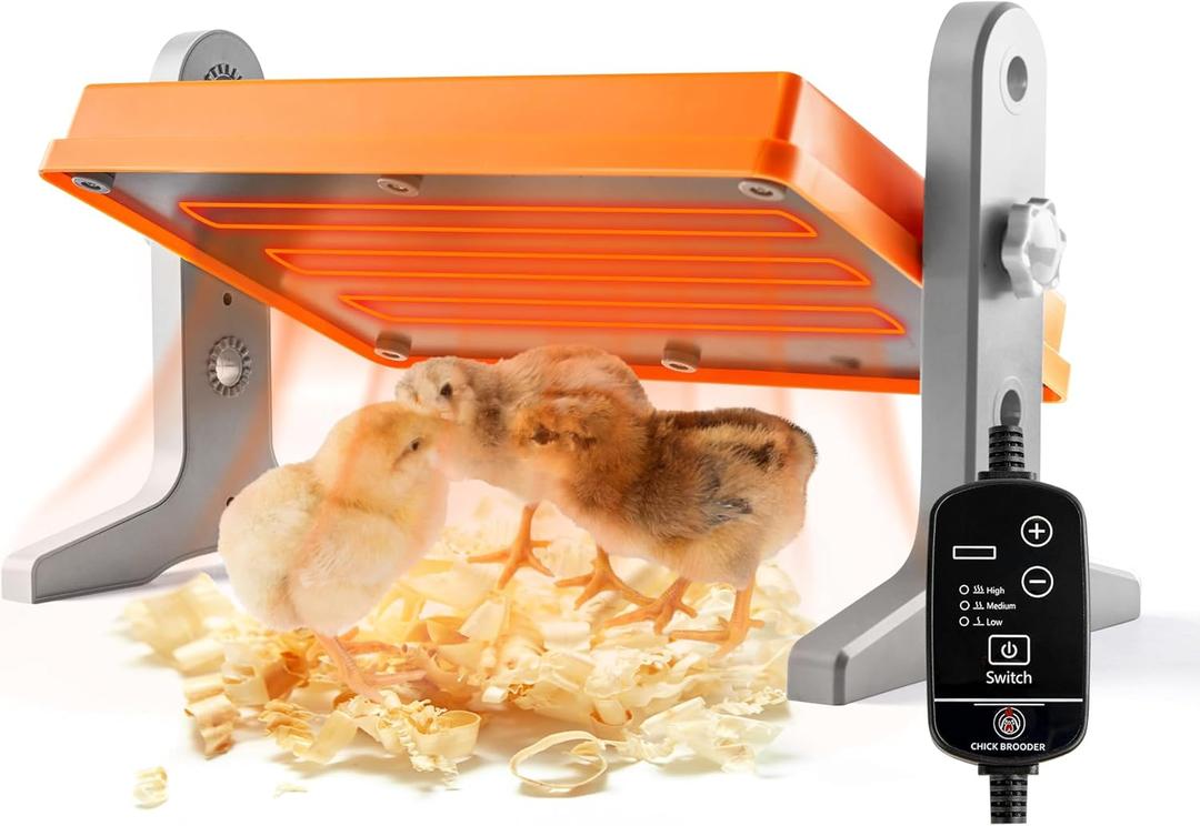 Chick Brooder Heater Plate  12" x 8" Adjustable Height & Temperature Poultry Warmer for Up to 10 Chicks, Brooder Heating Plate for Chicks and Ducklings, Orange