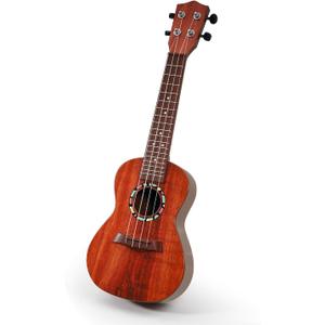 Raimy Kids Guitar Ukulele - 21in Ukulele Guitar Toys for Kids Ages 3 4 5 6 7+ Year Old Boys Girls Simulated Sound Quality Music Instruments Learning Education (Brown) (Rosewood)