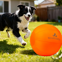 Orange Dog Toy Ball
