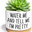 Water Me and Tell Me I'm Pretty - Cute Ceramic Planter Pot with Drainage Hole, Home Office Funny Small Succulent Cactus Pot for Women, Friends, Coworker, Plant Lovers